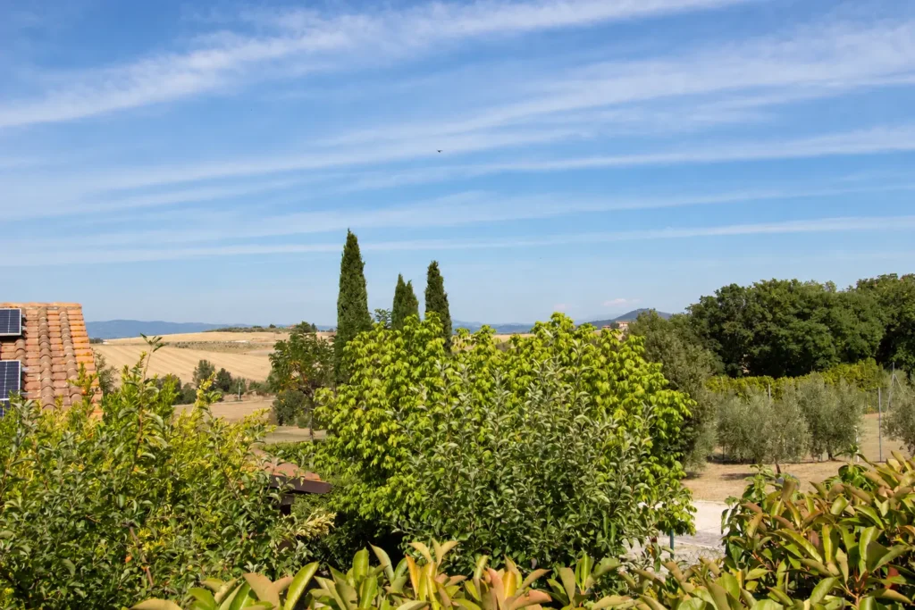 Blick von Ex Pacciano auf Zypressen, Olivenbäume und die Landschaft