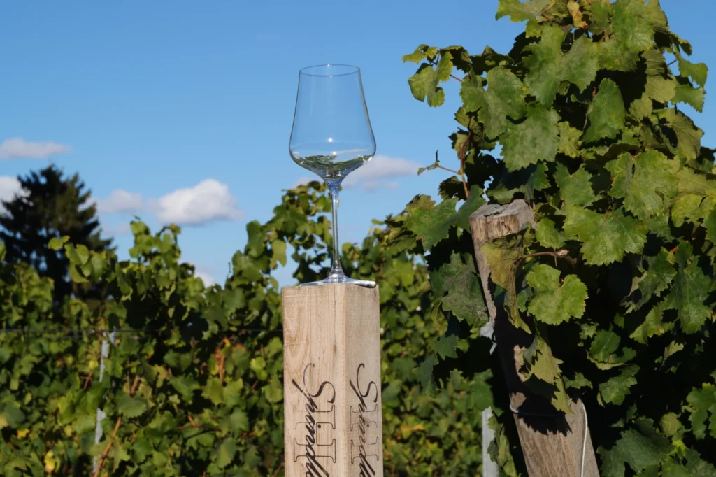 Calice di vino bianco su un paletto tra le viti a Forst, in Germania; foto illustrativa della degustazione