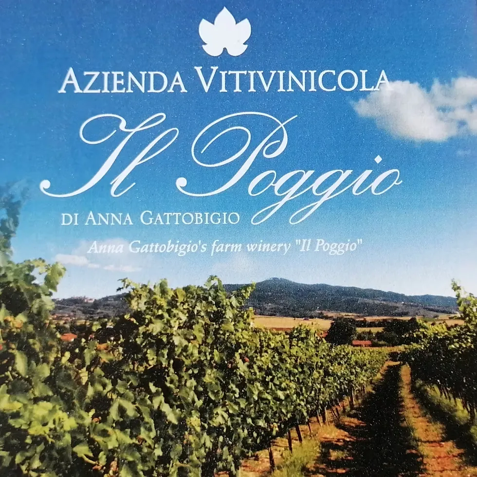 Il Poggio di Anna Gattobigio — domaine viticole