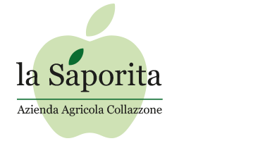 Logo La Saporita – Paciano