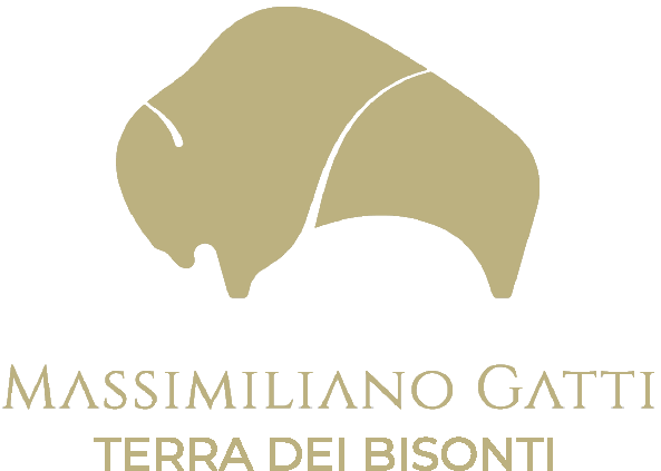 Logo Terra dei Bisonti – Panicale