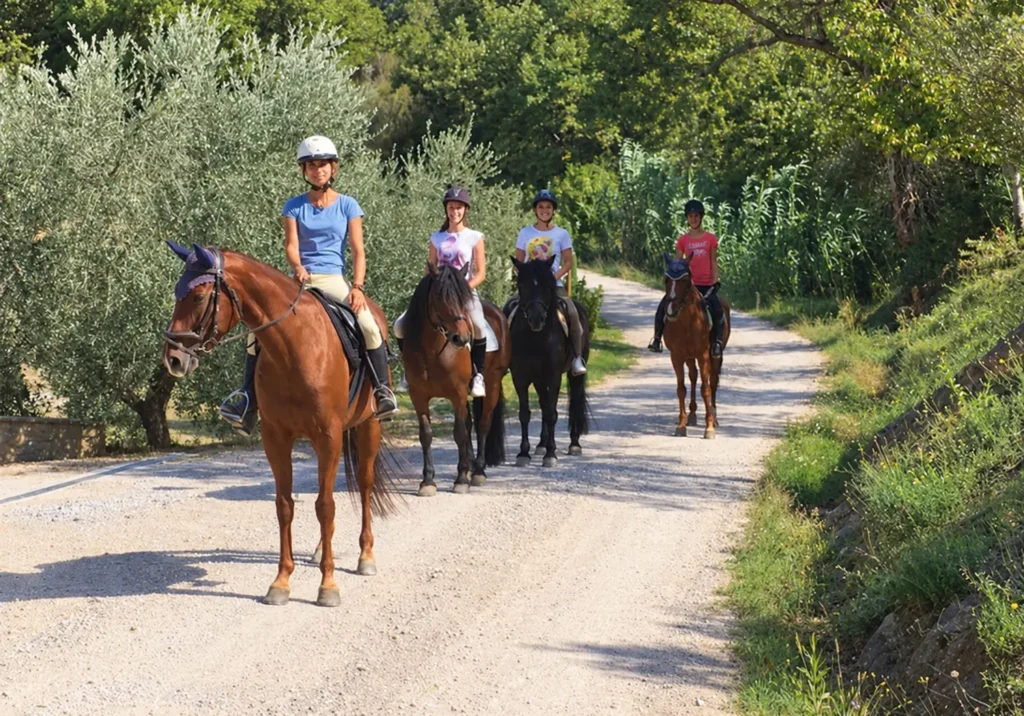 Vier Reiter mit Helmen auf einem Weg zwischen Olivenbäumen bei Poggio del Pero nahe Panicale