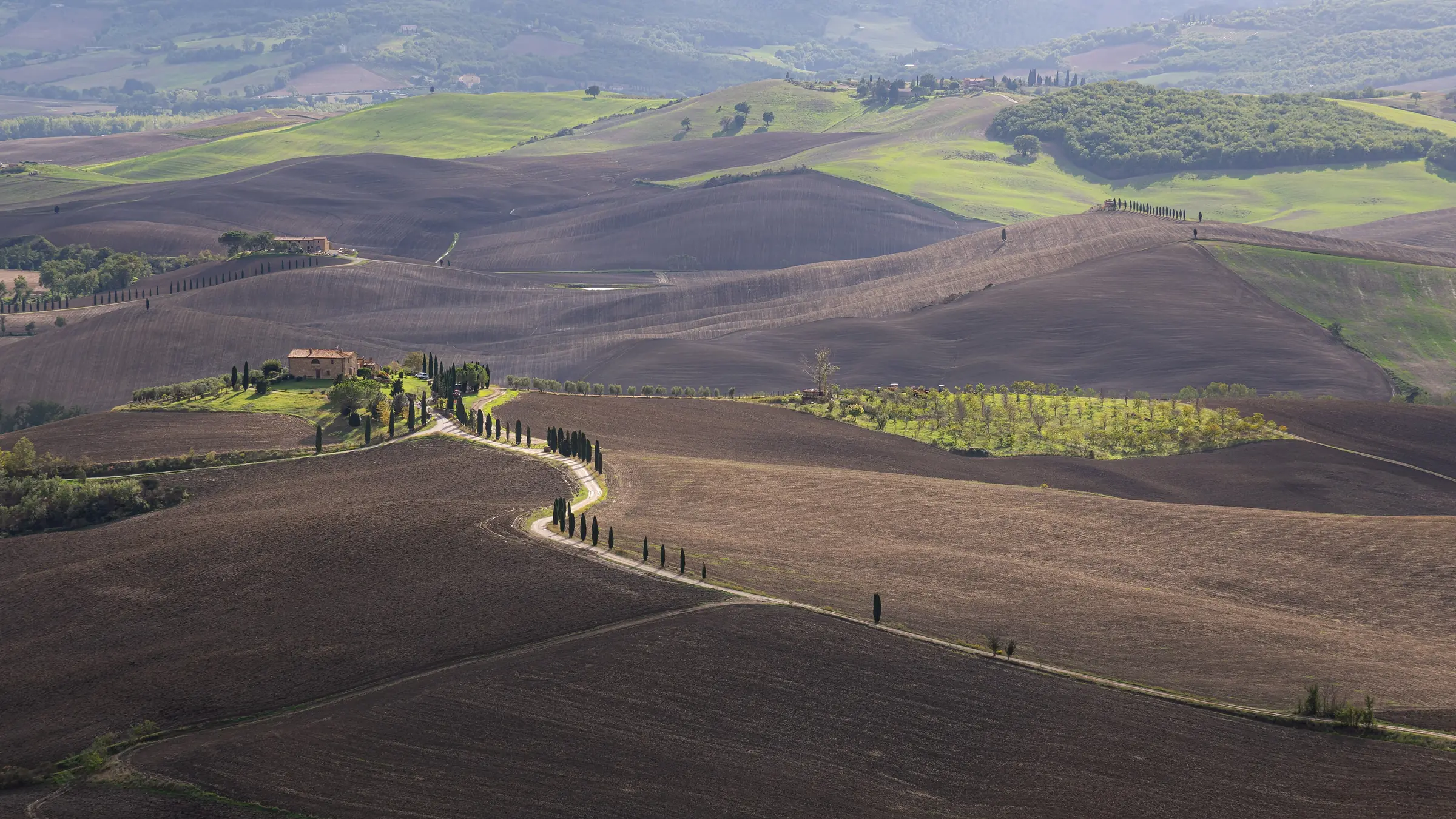 Von Zypressen gesäumte Straße durch die Hügel der Val d’Orcia