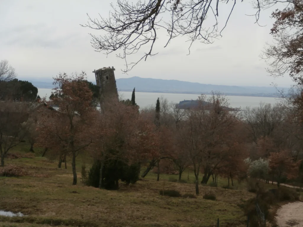 Torre e ruderi di Vernazzano tra gli ulivi, con il Lago Trasimeno sullo sfondo