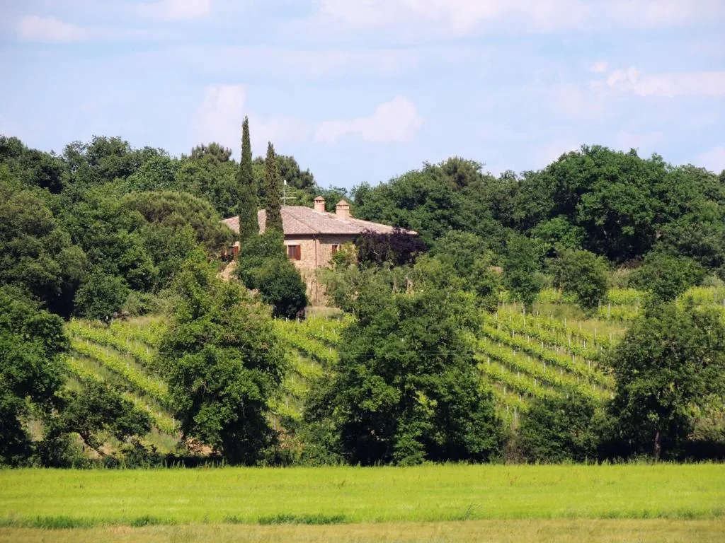 Podere Marella au milieu des vignobles de Ferretto