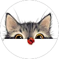 Chiara Cecere Avatar